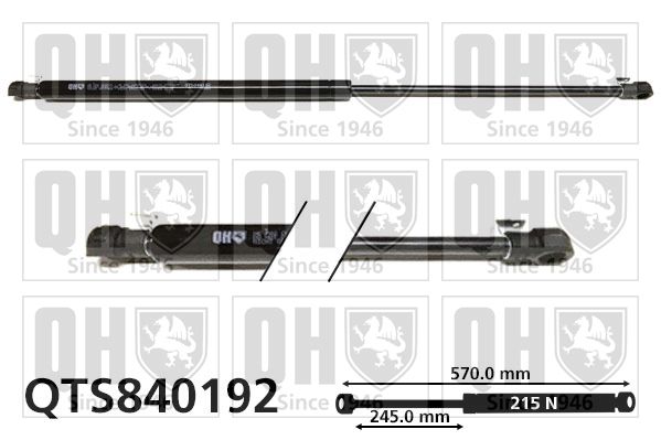 QUINTON HAZELL Газовая пружина, крышка багажник QTS840192